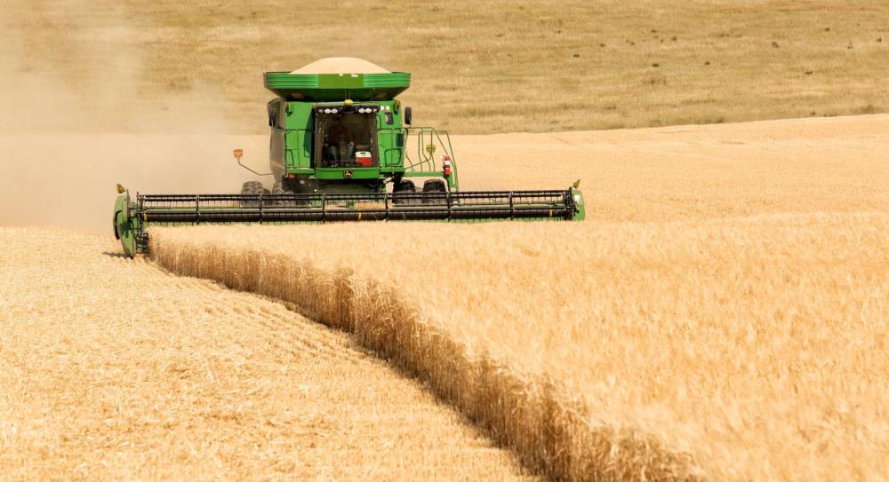 Mbi 20 milione tone grure i bllokuar, Ukraina kerkon rruge te reja
